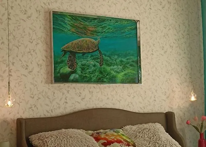 Fala-miodowy Dom كولوبرزيغ